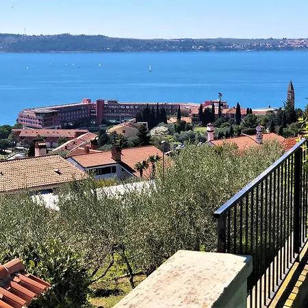 Beautiful Street - Sea View