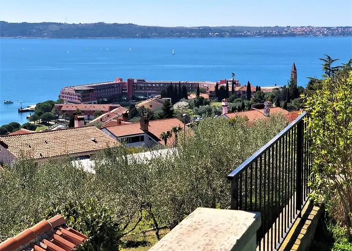 Beautiful Street - Sea View
